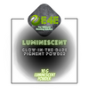 10g E4E Florescent  Pigment Powder